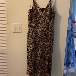 Express Cheetah mini dress